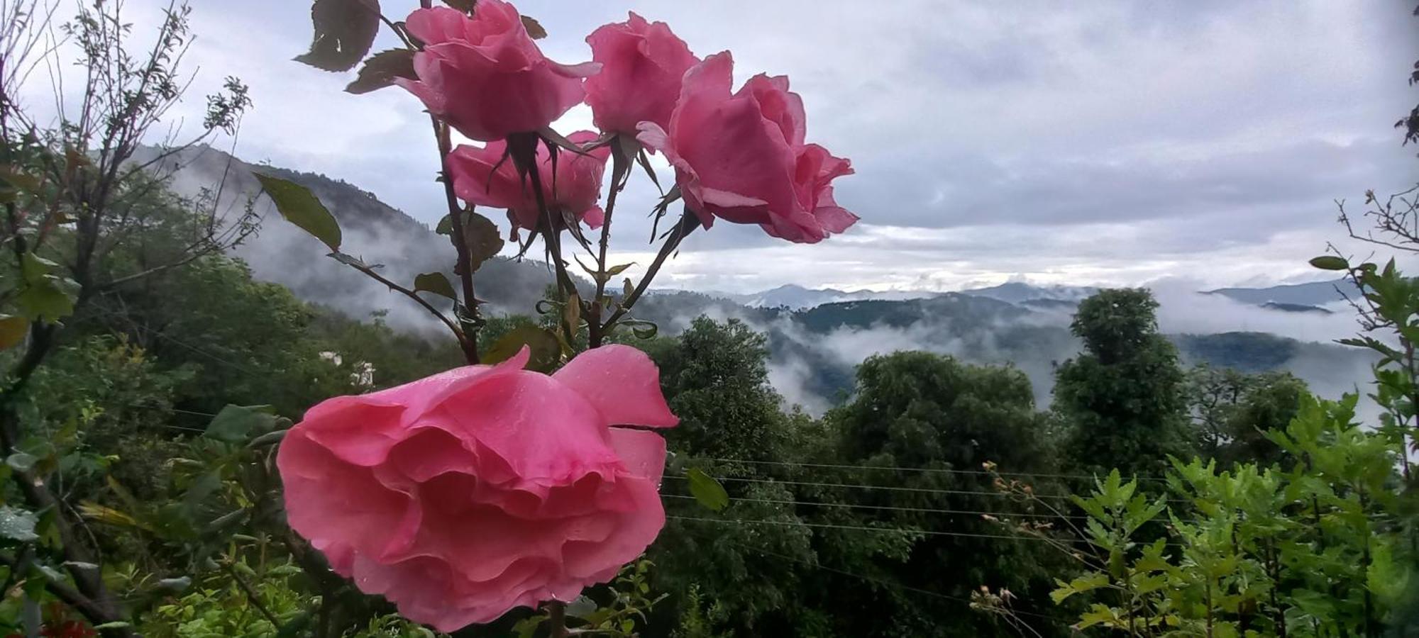 Sunrise Villa Shimla Zewnętrze zdjęcie